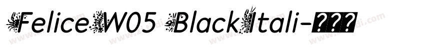 FeliceW05 BlackItali字体转换